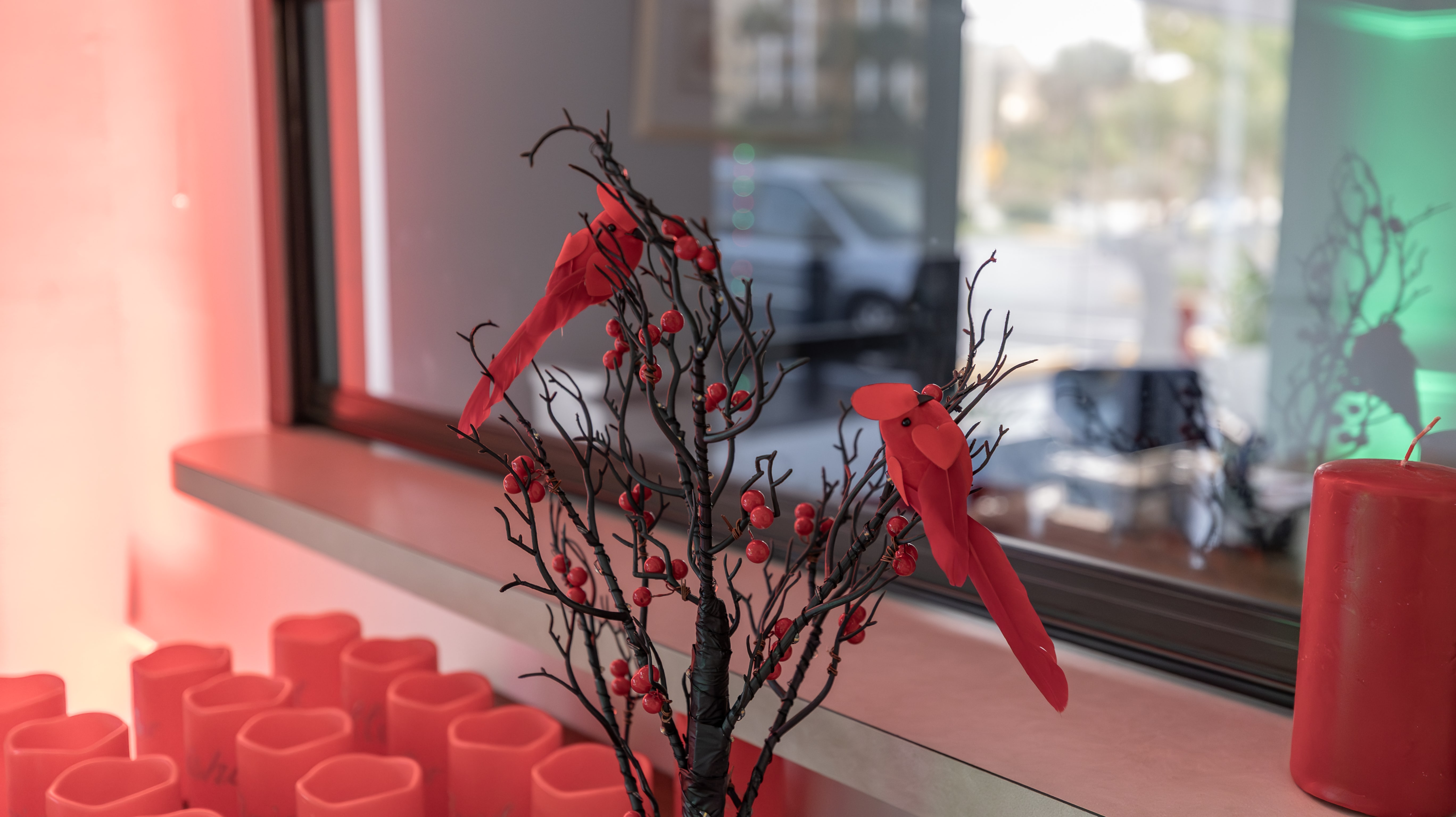 Christmas 2025 — Daytona